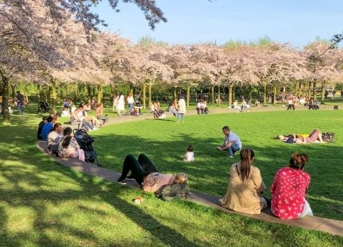 Top 40 Things to do in Amsterdam